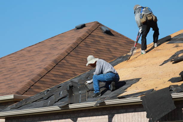 Best Asphalt Shingle Roofing  in South River, NM